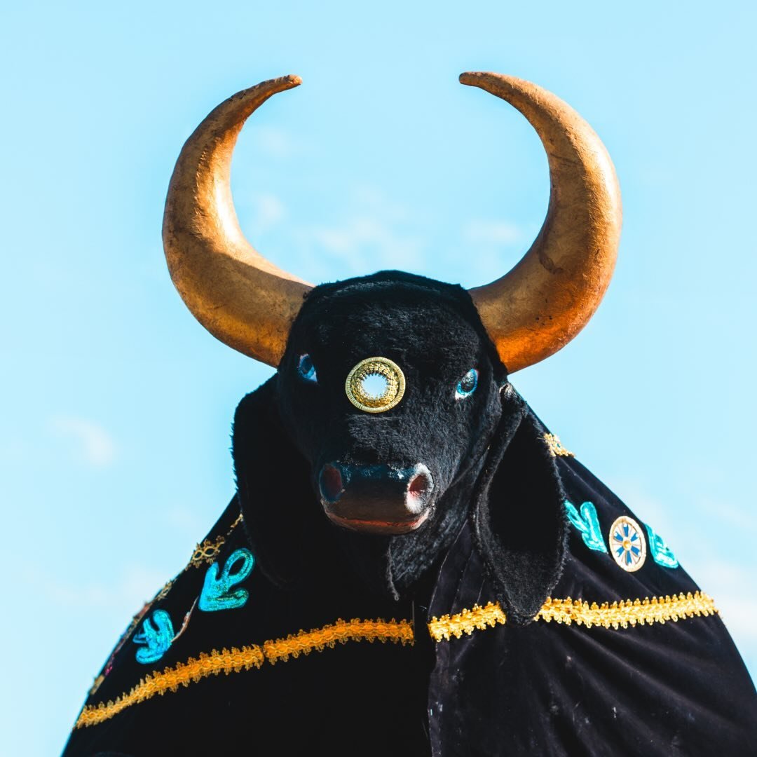 Boi da Macuca · foto 1
