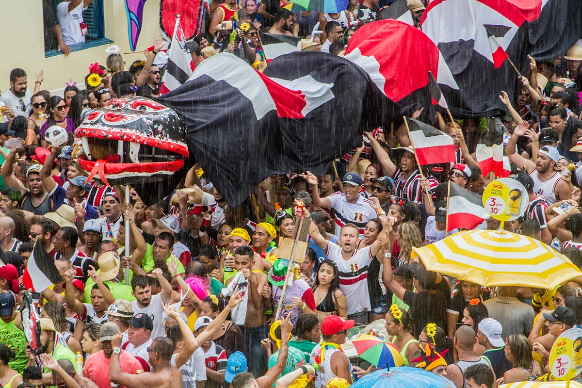 Minha Cobra · foto 2